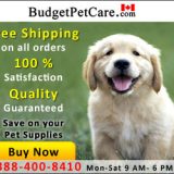 Saving with Budget Care Pet Supplies