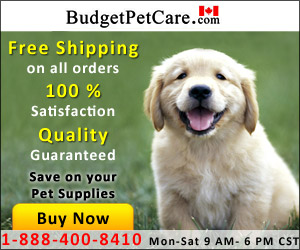Saving with Budget Care Pet Supplies