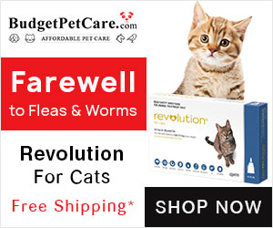 Budget Pet supplies for cats